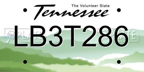 LB3T286 Tennessee License Plate