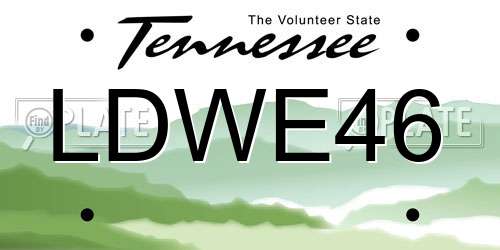 LDWE46 Tennessee License Plate