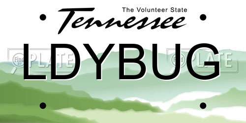 LDYBUG Tennessee License Plate