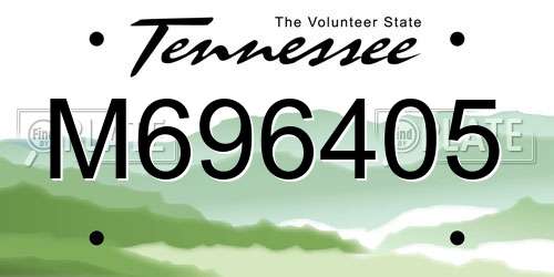 M696405 Tennessee License Plate