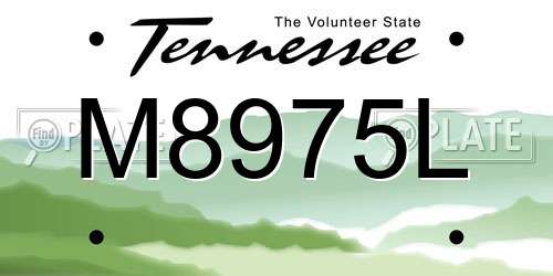 M8975L Tennessee License Plate