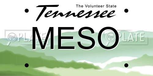 MESO Tennessee License Plate