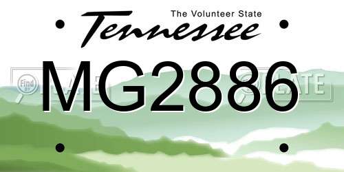 MG2886 Tennessee License Plate