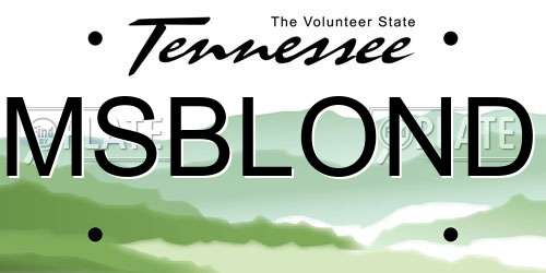MSBLOND Tennessee License Plate