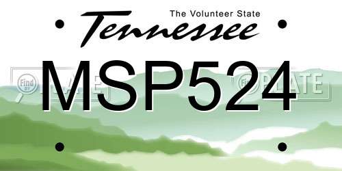 MSP524 Tennessee License Plate