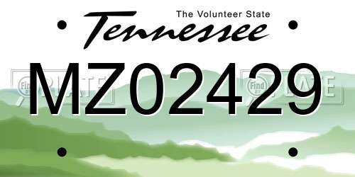 MZ02429 Tennessee License Plate