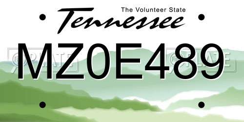 MZ0E489 Tennessee License Plate