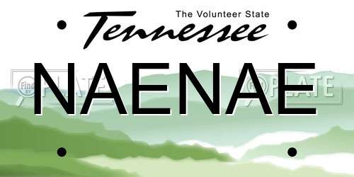 NAENAE Tennessee License Plate