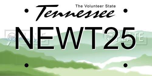 NEWT25 Tennessee License Plate