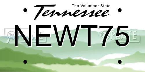 NEWT75 Tennessee License Plate