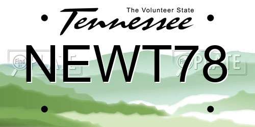 NEWT78 Tennessee License Plate