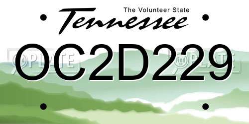 OC2D229 Tennessee License Plate