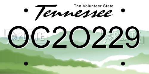 OC2O229 Tennessee License Plate