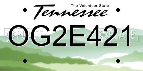 OG2E421 Tennessee License Plate