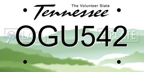 OGU542 Tennessee License Plate