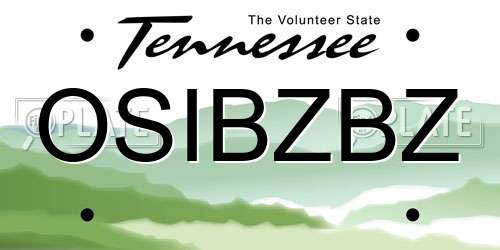 OSIBZBZ Tennessee License Plate