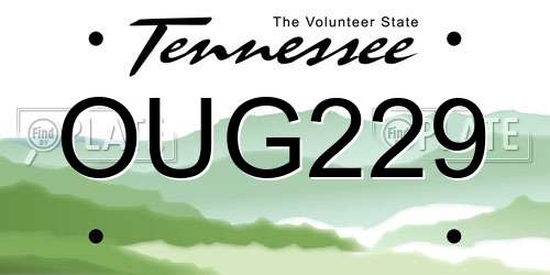 OUG229 Tennessee License Plate