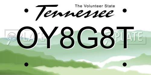 OY8G8T Tennessee License Plate