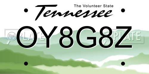 OY8G8Z Tennessee License Plate