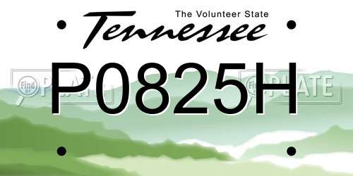 P0825H Tennessee License Plate