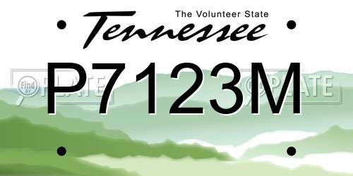 P7123M Tennessee License Plate
