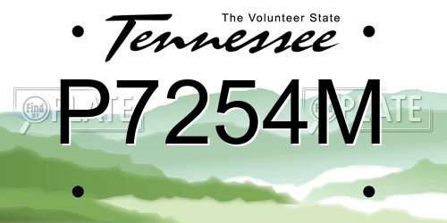 P7254M Tennessee License Plate