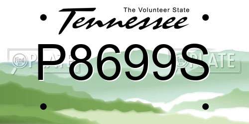 P8699S Tennessee License Plate