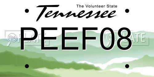 PEEF08 Tennessee License Plate
