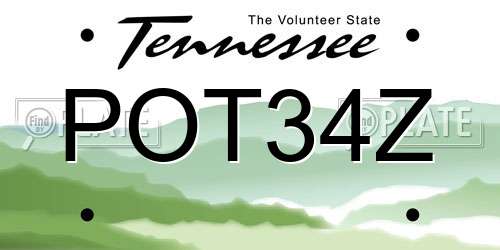POT34Z Tennessee License Plate