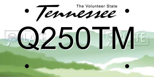 Q250TM Tennessee License Plate