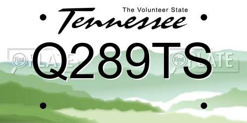 Q289TS Tennessee License Plate