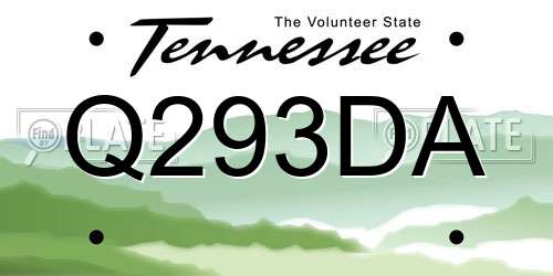 Q293DA Tennessee License Plate