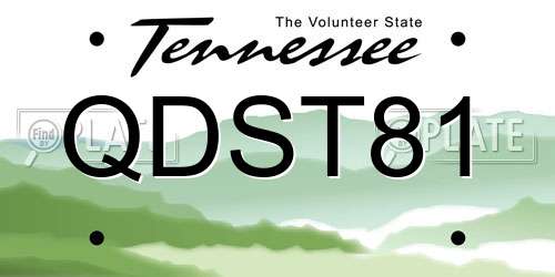 QDST81 Tennessee License Plate