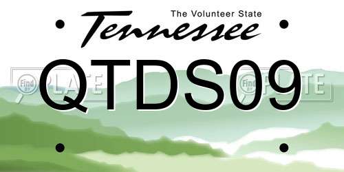 QTDS09 Tennessee License Plate