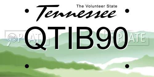 QTIB90 Tennessee License Plate