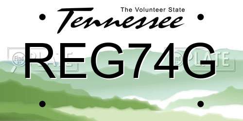 REG74G Tennessee License Plate
