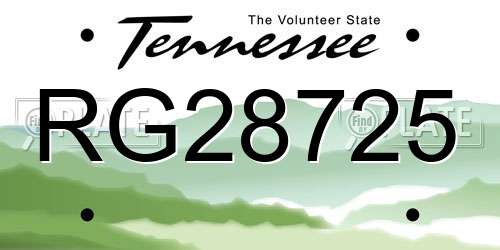 RG28725 Tennessee License Plate