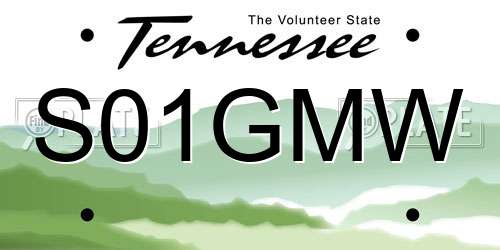 S01GMW Tennessee License Plate