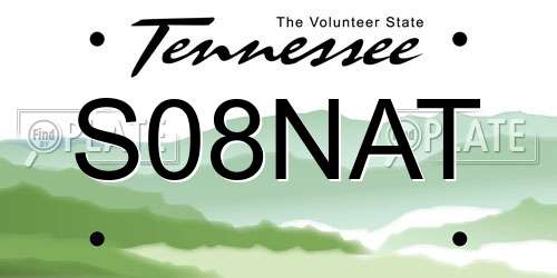 S08NAT Tennessee License Plate
