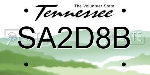 SA2D8B Tennessee License Plate