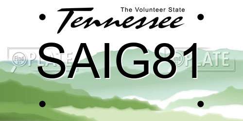 SAIG81 Tennessee License Plate