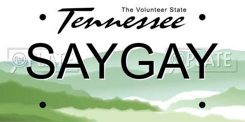 SAYGAY Tennessee License Plate