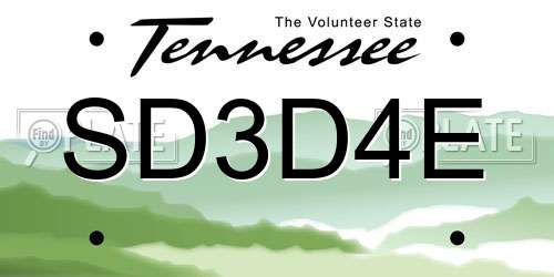 SD3D4E Tennessee License Plate