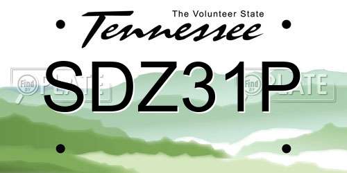 SDZ31P Tennessee License Plate