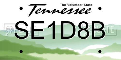 SE1D8B Tennessee License Plate