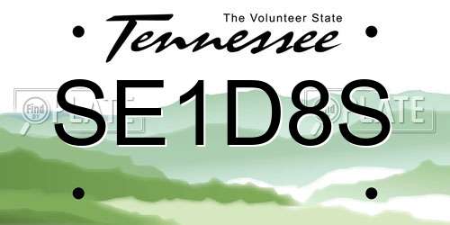 SE1D8S Tennessee License Plate