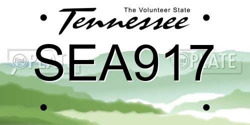 SEA917 Tennessee License Plate