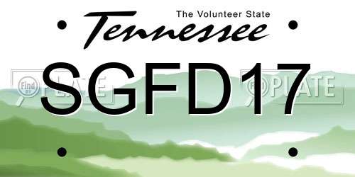 SGFD17 Tennessee License Plate