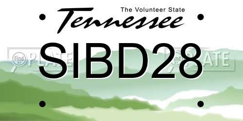 SIBD28 Tennessee License Plate