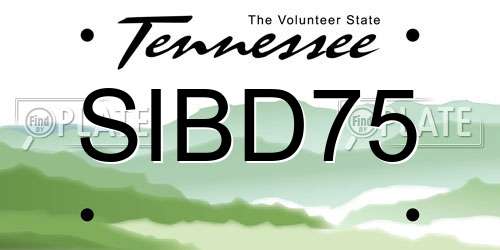 SIBD75 Tennessee License Plate